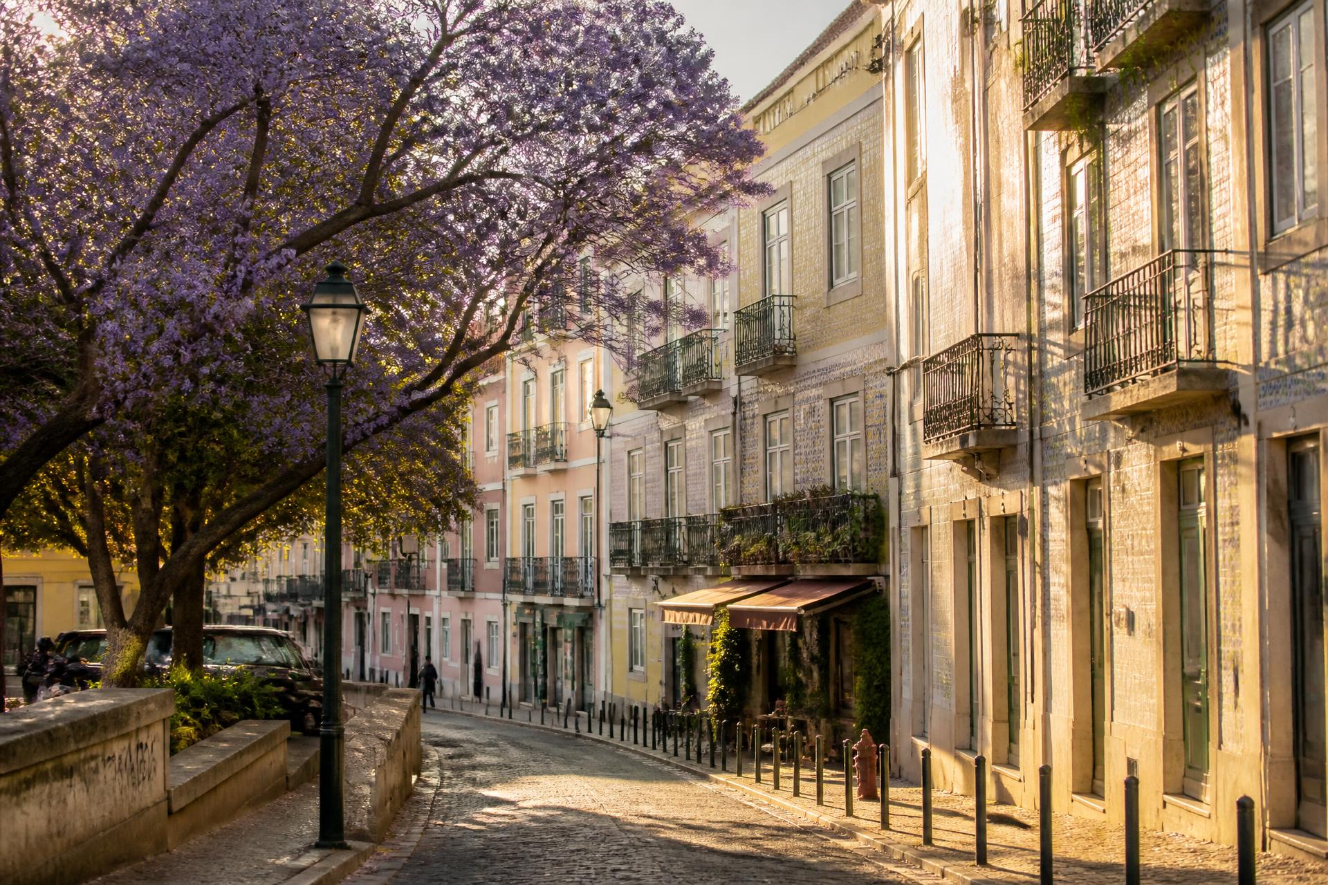 Príncipe Real, Lisbon
